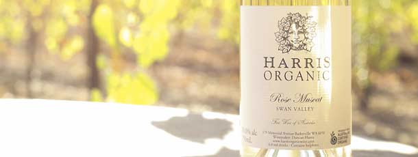 Harris Organic blog - wine fermentation 