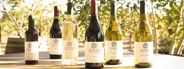 Harris Organic Wine Blog